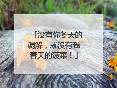 没有你冬天的调解，就没有我春天的菠菜！