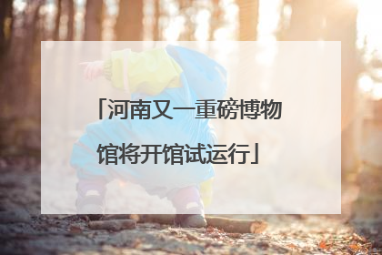 河南又一重磅博物馆将开馆试运行