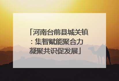 河南台前县城关镇：集智赋能聚合力 凝聚共识促发展