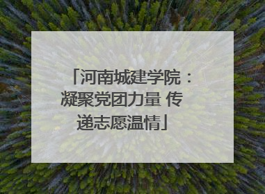 河南城建学院：凝聚党团力量 传递志愿温情