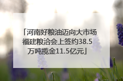 河南好粮油迈向大市场 福建粮洽会上签约38.5万吨揽金11.5亿元