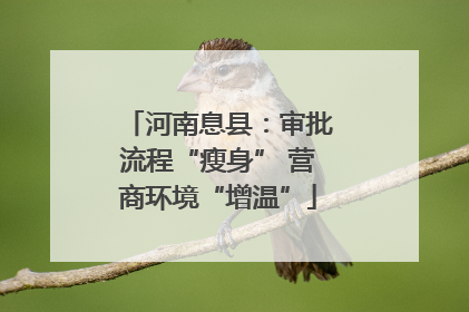 河南息县：审批流程“瘦身” 营商环境“增温”