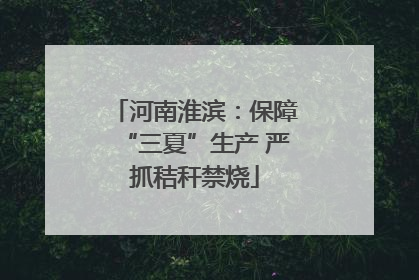 河南淮滨：保障“三夏”生产 严抓秸秆禁烧
