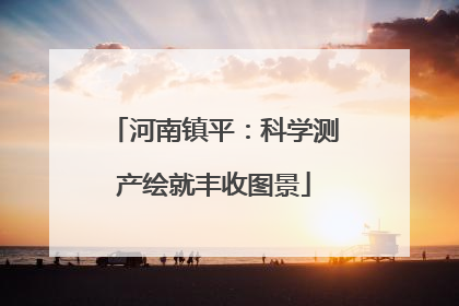 河南镇平：科学测产绘就丰收图景