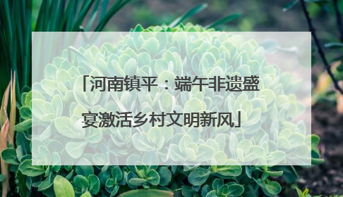 河南镇平：端午非遗盛宴激活乡村文明新风