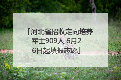 河北省招收定向培养军士909人 6月26日起填报志愿