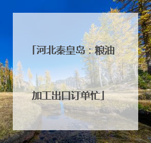河北秦皇岛：粮油加工出口订单忙