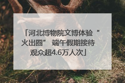 河北博物院文博体验“火出圈” 端午假期接待观众超4.6万人次