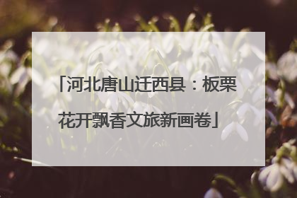河北唐山迁西县：板栗花开飘香文旅新画卷