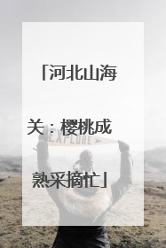 河北山海关：樱桃成熟采摘忙