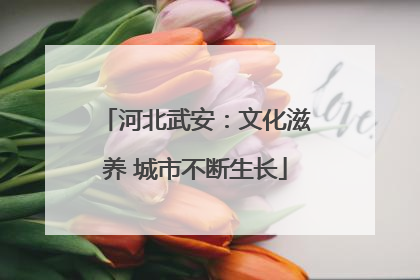 河北武安：文化滋养 城市不断生长