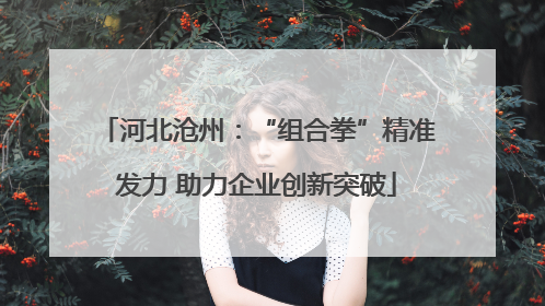 河北沧州：“组合拳”精准发力 助力企业创新突破