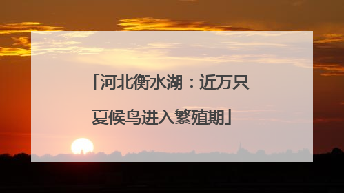 河北衡水湖：近万只夏候鸟进入繁殖期