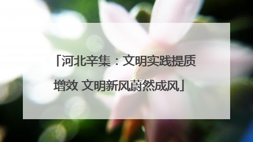 河北辛集：文明实践提质增效 文明新风蔚然成风