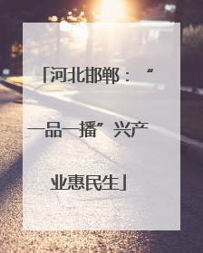 河北邯郸：“一品一播”兴产业惠民生