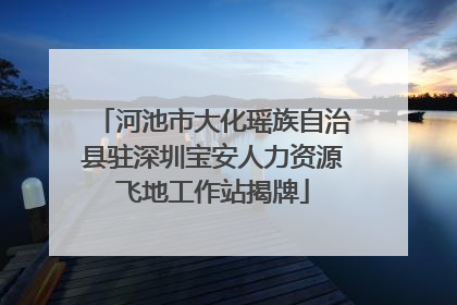河池市大化瑶族自治县驻深圳宝安人力资源飞地工作站揭牌
