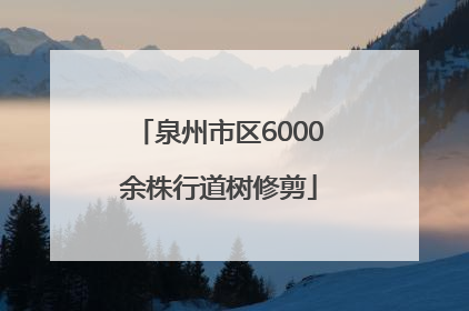 泉州市区6000余株行道树修剪