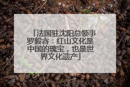 法国驻沈阳总领事罗毅睿：红山文化是中国的瑰宝，也是世界文化遗产