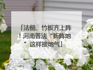 法槌、竹板齐上阵！河南普法“新阵地”这样接地气