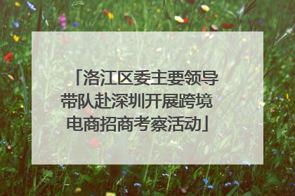 洛江区委主要领导带队赴深圳开展跨境电商招商考察活动