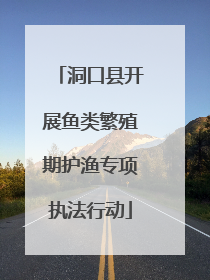 洞口县开展鱼类繁殖期护渔专项执法行动