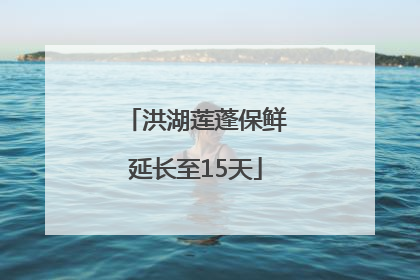洪湖莲蓬保鲜延长至15天