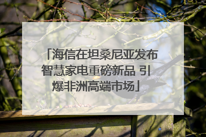 海信在坦桑尼亚发布智慧家电重磅新品 引爆非洲高端市场