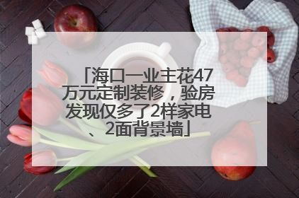 海口一业主花47万元定制装修，验房发现仅多了2样家电、2面背景墙