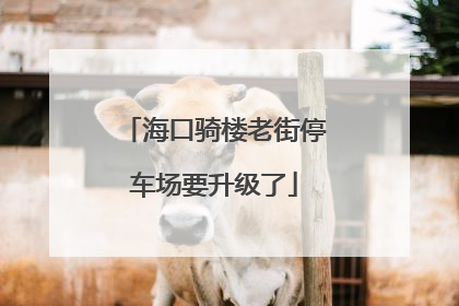 海口骑楼老街停车场要升级了