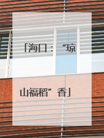 海口：“琼山福稻”香