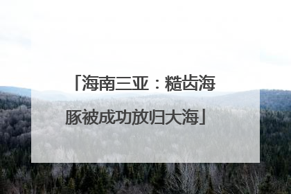 海南三亚：糙齿海豚被成功放归大海