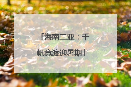 海南三亚：千帆竞渡迎暑期
