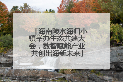 海南陵水海归小镇举办生态共建大会，数智赋能产业共创出海新未来