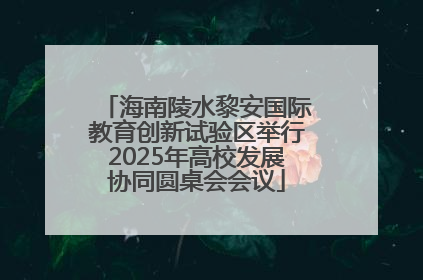 海南陵水黎安国际教育创新试验区举行2025年高校发展协同圆桌会会议