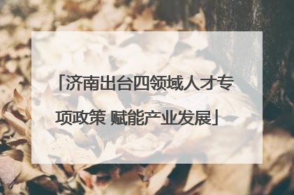 济南出台四领域人才专项政策 赋能产业发展
