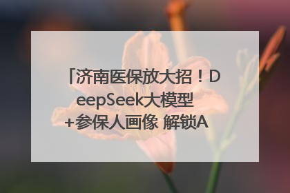 济南医保放大招！DeepSeek大模型+参保人画像 解锁AI医保管家新体验