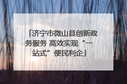 济宁市微山县创新政务服务 高效实现“一站式”便民利企