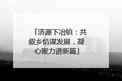 济源下冶镇：共叙乡情谋发展，凝心聚力谱新篇