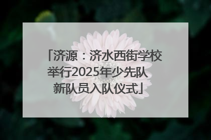 济源：济水西街学校举行2025年少先队新队员入队仪式