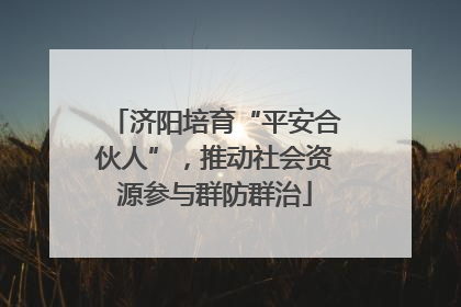 济阳培育“平安合伙人”，推动社会资源参与群防群治