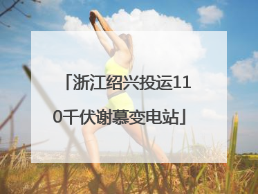 浙江绍兴投运110千伏谢慕变电站