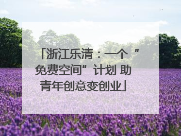 浙江乐清：一个“免费空间”计划 助青年创意变创业