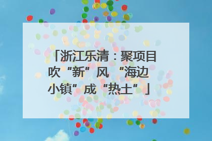 浙江乐清：聚项目吹“新”风 “海边小镇”成“热土”