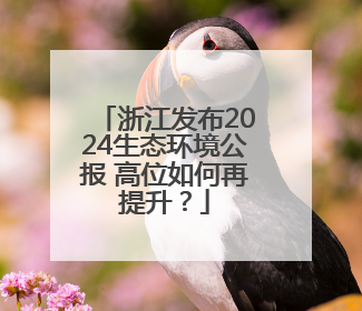 浙江发布2024生态环境公报 高位如何再提升？