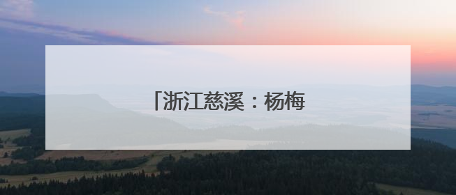 浙江慈溪：杨梅之乡开启丰收季