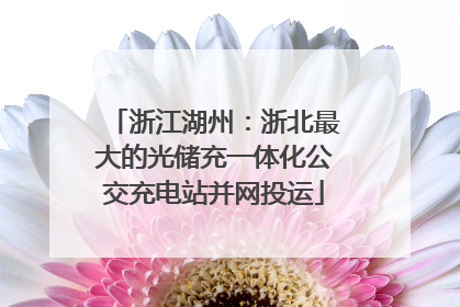 浙江湖州：浙北最大的光储充一体化公交充电站并网投运