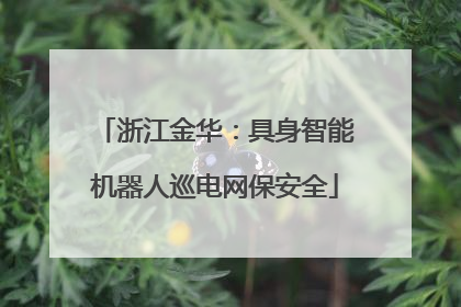 浙江金华：具身智能机器人巡电网保安全