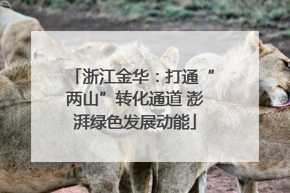 浙江金华：打通“两山”转化通道 澎湃绿色发展动能