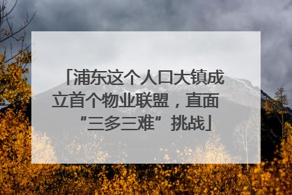 浦东这个人口大镇成立首个物业联盟，直面“三多三难”挑战
