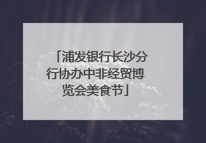 浦发银行长沙分行协办中非经贸博览会美食节